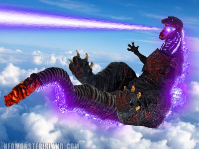 Shin Flight